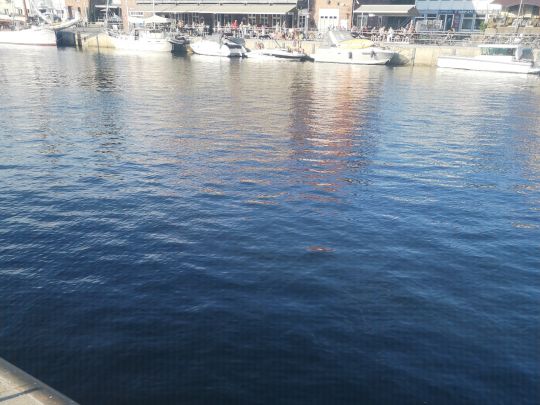 Hafen Neustadt/Holstein-4