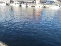 Hafen Neustadt/Holstein-4