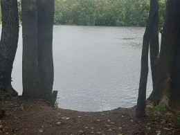 Tiefe Wiese Zwenkau-4