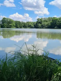 Tiefe Wiese Zwenkau-1