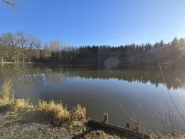 Aueteich (Crawinkel)