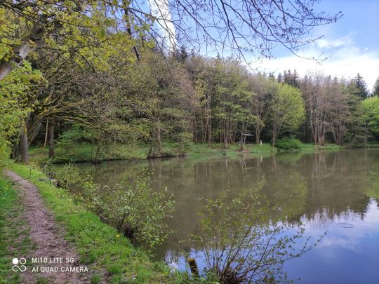 Aueteich (Crawinkel)-3