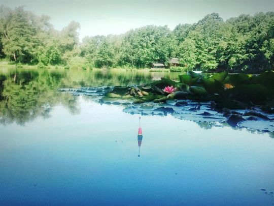 Aueteich (Crawinkel)-4