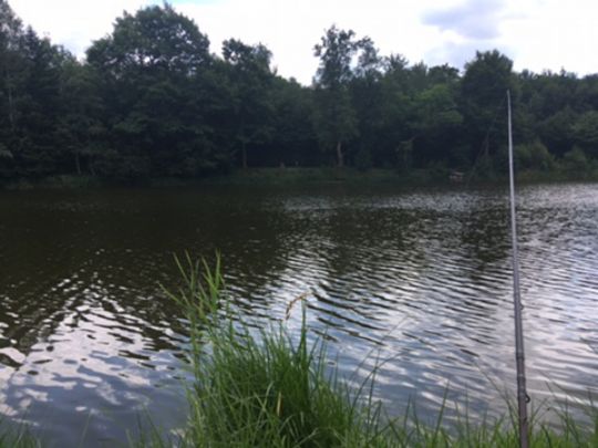 Menzerather Weiher angeln
