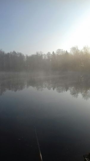 Menzerather Weiher-2
