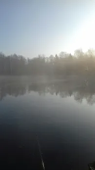 Menzerather Weiher-2