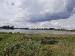 Großer Wiendorfer Teich-2