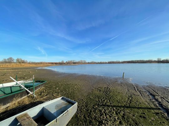 Großer Wiendorfer Teich ALLE ANGELN