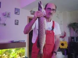 Großer Wiendorfer Teich