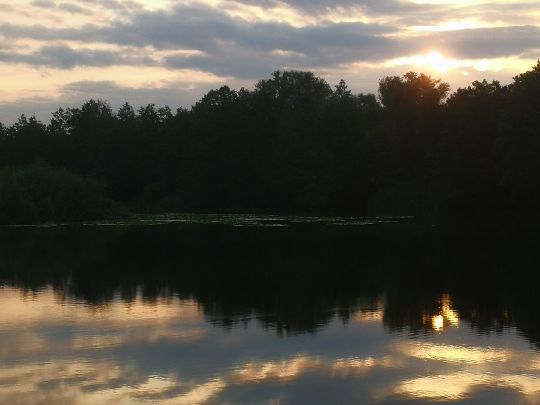 Krumme Havel (Gollwitz)-2