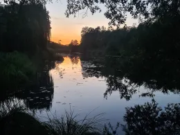 Krumme Havel (Gollwitz)-4