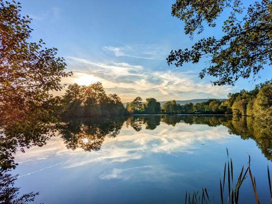 Strassheimer Teich (Friedberg)-1