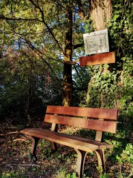 Strassheimer Teich (Friedberg)-2