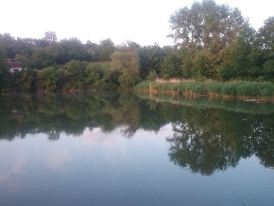 Angelhäuser Teich (Arnstadt) ALLE ANGELN