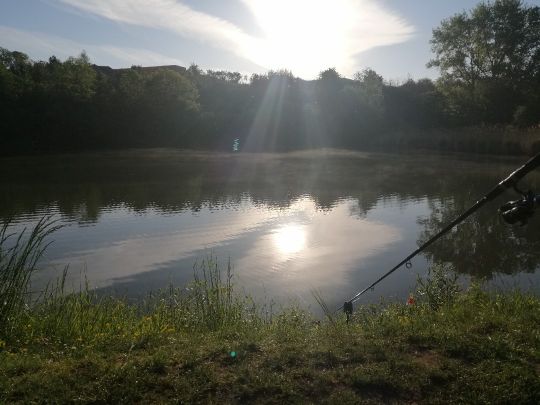 Angelhäuser Teich (Arnstadt) ALLE ANGELN