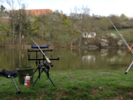Angelhäuser Teich (Arnstadt) ALLE ANGELN