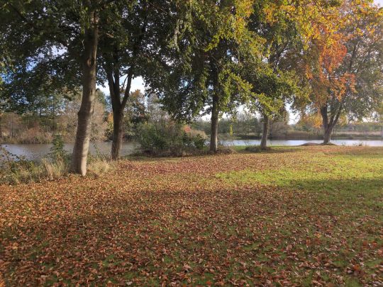 Vereinssee Leck (Bramstedt)-3