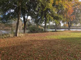 Vereinssee Leck (Bramstedt)-3