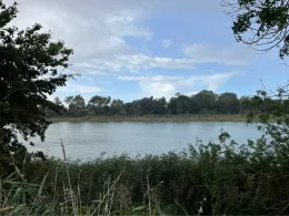 Großer Grenzsee (Randowtal) 