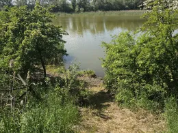 Großer Grenzsee (Randowtal) -1