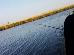 Knockster Tief (Emden)-3