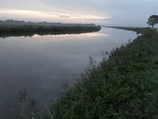 Knockster Tief (Emden)-1