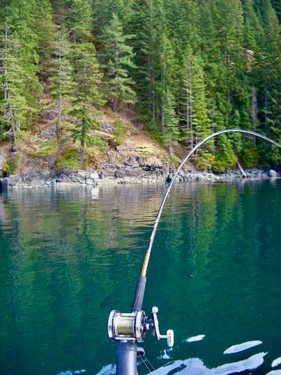 Deepwater Bay (Comox-Strathcona)-1