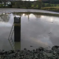 Teichanlage Niederkalbach