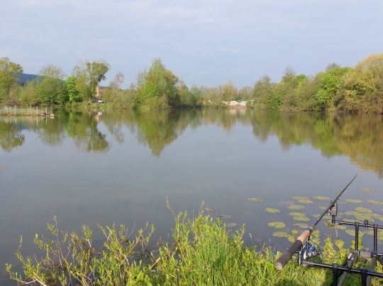 Mainkleiner See (Mainroth)-2