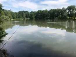 Mühlteich (Braunichswalde)-0