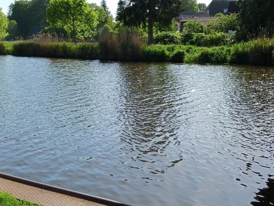 Elbe-Lübeck-Kanal (Berkenthin)-2