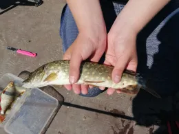 Haussee (Schönwalde)-3