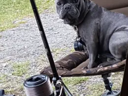 Baggersee Mantel (Gewässer B20)-3