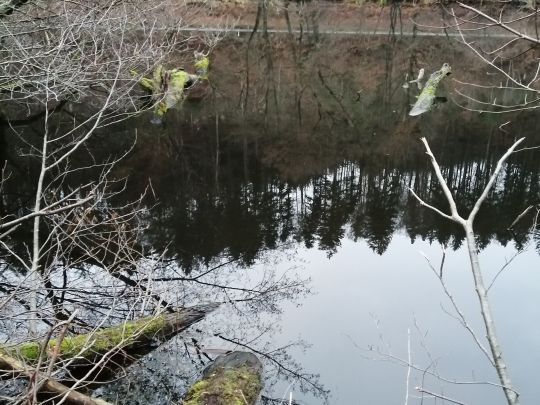 Angeln in Wartenberg-Rohrbach