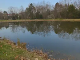 Großer Agra-Teich-1