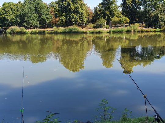 Großer Agra-Teich-3