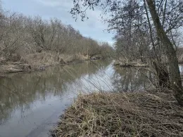 Kalflak (Emmericher Eyland)-1