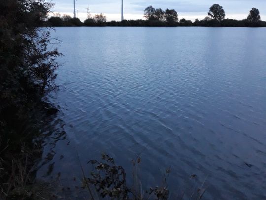 Kolk Oldersumer Neuland