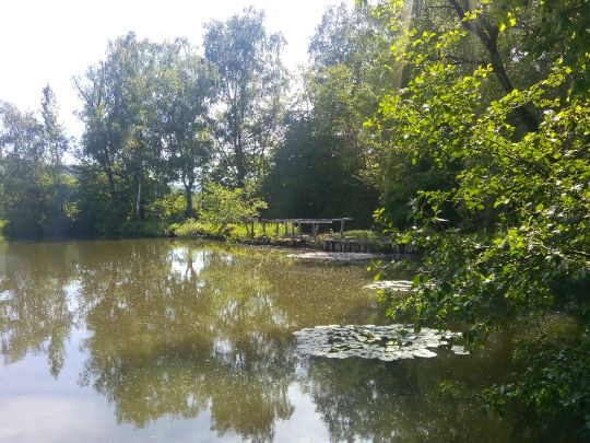 Meerpfuhl (Merzhausen)-2