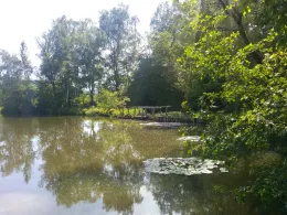 Meerpfuhl (Merzhausen)-2