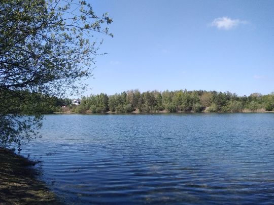 Kiesgrube Heidenau-2