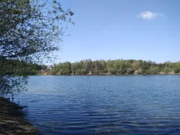 Kiesgrube Heidenau-2