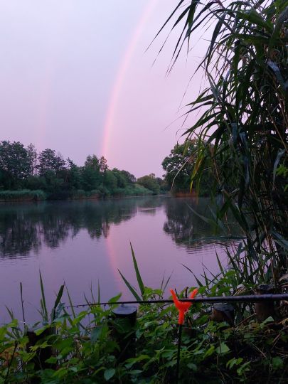 Baggerloch Lodenau-2