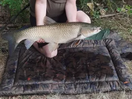 Baggerloch Lodenau-1