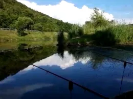 Altmühl (Kinding)-4