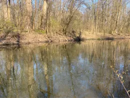 Bode (Egeln-Wolmirsleben)-1