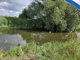 Bode (Egeln-Wolmirsleben)-2