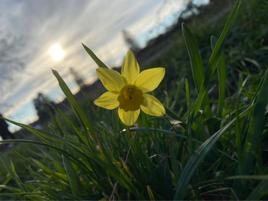 Main (Sulzbach am Main)-1