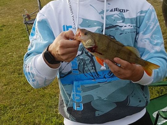 Main (Sulzbach am Main)-2