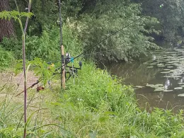 Main (Sulzbach am Main)